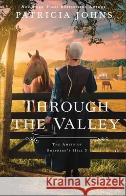 Through the Valley Patricia Johns 9780764244193 Bethany House Publishers - książka