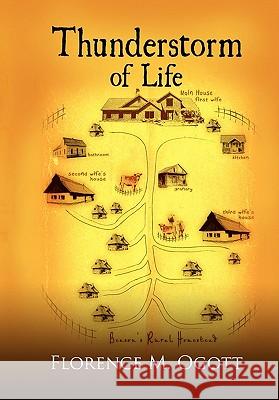 Thunderstorm of Life Florence M. Ogott 9781456830410 Xlibris Corporation - książka