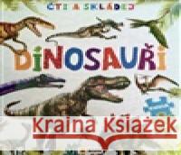 Čti a skládej - DINOSAUŘI  9788076875401 Sun - książka