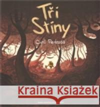 Tři stíny Cyril Pedrosa 9788090423442 Nakladatelství Sýpka - książka