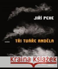 Tři tváře anděla Jiří Pehe 9788072603275 Prostor - książka