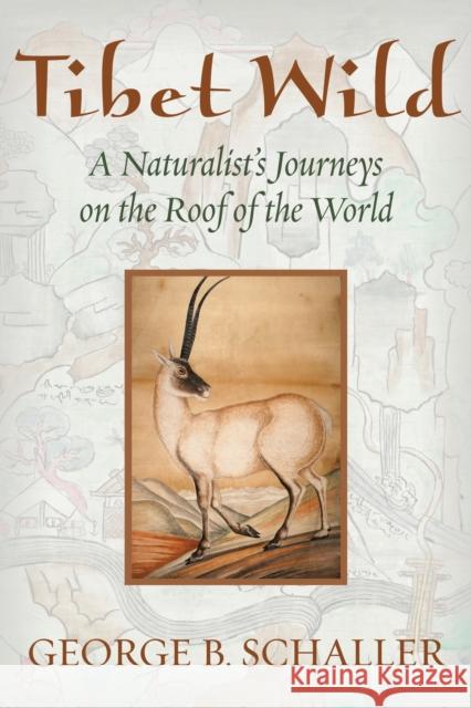 Tibet Wild: A Naturalist's Journeys on the Roof of the World George B. Schaller 9781610911726 Island Press - książka