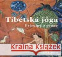 Tibetská jóga Ian A. Baker 9788074361357 DharmaGaia - książka