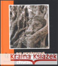 Třicet dva chwanů Iva Pekárková 9788072870080 Maťa - książka