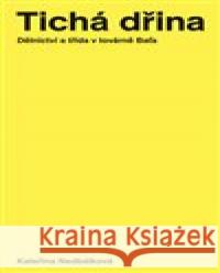 Tichá dřina Kateřina Nedbálková 9788090890305 Display - książka