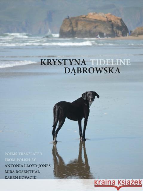 Tideline  9781938890888 Zephyr Press - książka
