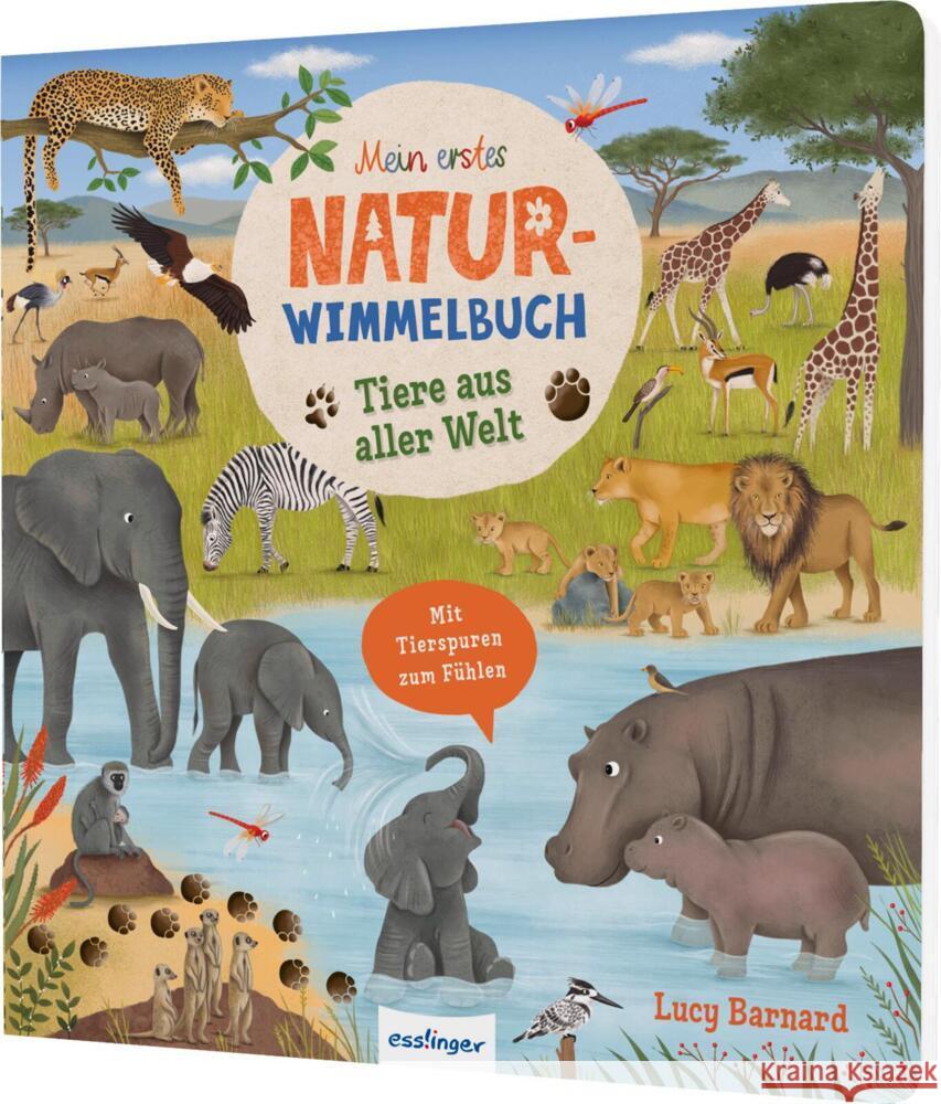 Tiere aus aller Welt Lotz, Katharina 9783480241378 Esslinger in der Thienemann-Esslinger Verlag  - książka