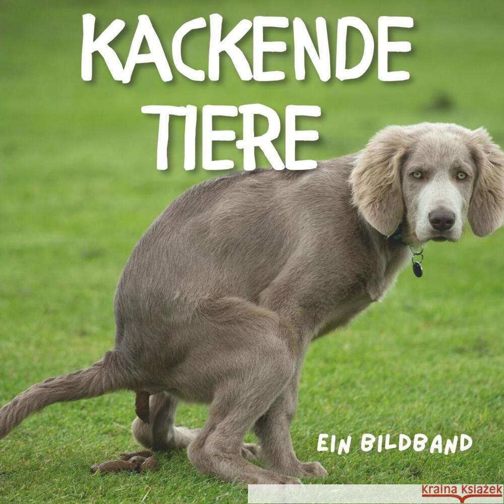 Tiere beim Kacken Fröhlich, Tim 9783750500631 27amigos - książka