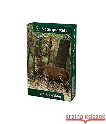 Tiere des Waldes (Kartenspiel)  4260098550191 Quelle & Meyer - książka