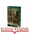 Tiere des Waldes (Kartenspiel)  4260098550191 Quelle & Meyer