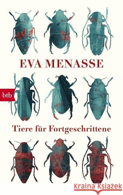 Tiere für Fortgeschrittene Menasse, Eva 9783442716623 btb - książka