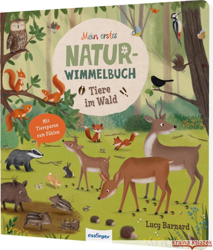 Tiere im Wald Schumann, Sibylle 9783480241361 Esslinger in der Thienemann-Esslinger Verlag  - książka