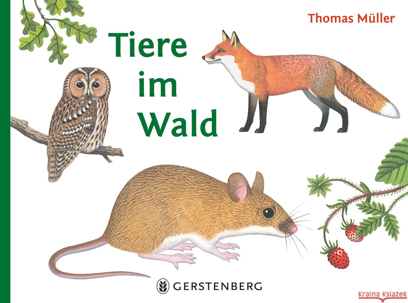 Tiere im Wald Müller, Thomas 9783836962780 Gerstenberg Verlag - książka
