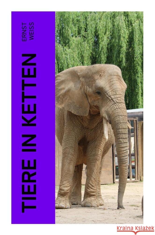 Tiere in Ketten Weiß, Ernst 9788027361847 e-artnow - książka