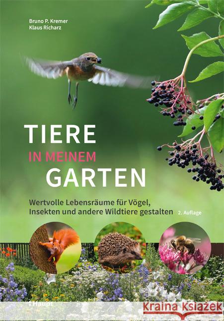 Tiere in meinem Garten Kremer, Bruno P., Richarz, Klaus 9783258082554 Haupt - książka