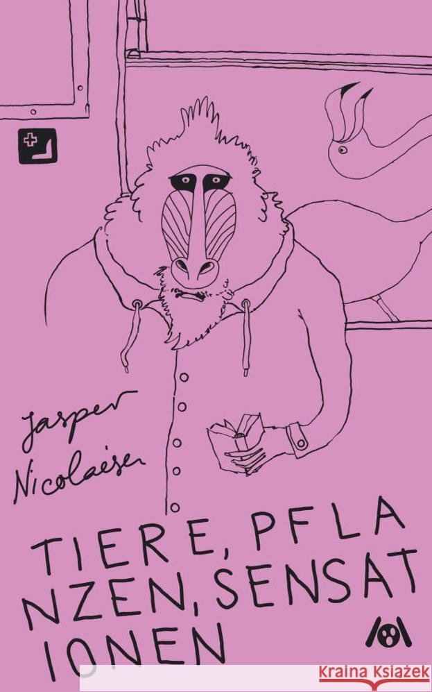 Tiere, Pflanzen, Sensationen - Phantastische Fabeln Nicolaisen, Jasper 9783947720873 Ach je Verlag - książka