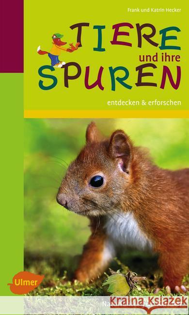 Tiere und ihre Spuren : entdecken & erforschen Hecker, Katrin; Hecker, Frank 9783800177561 Ulmer (Eugen) - książka
