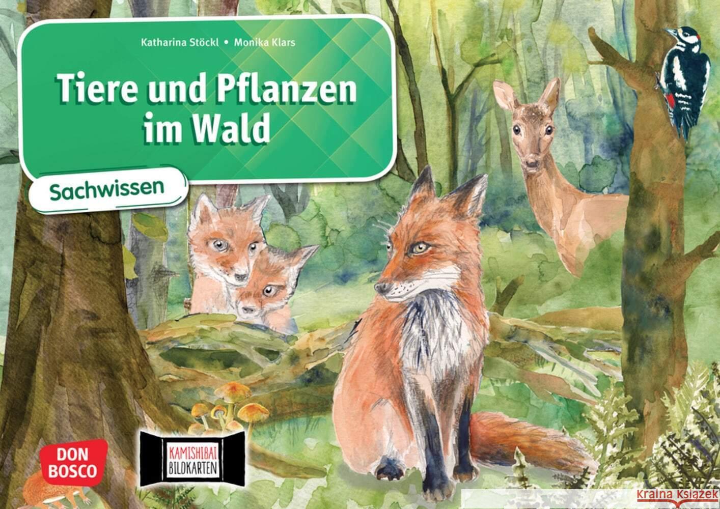 Tiere und Pflanzen im Wald. Kamishibai Bildkartenset Stöckl-Bauer, Katharina 4260179517617 Don Bosco Medien - książka