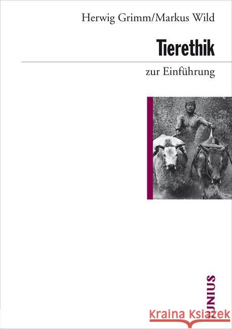 Tierethik zur Einführung Grimm, Herwig; Wild, Markus 9783885067481 Junius Verlag - książka