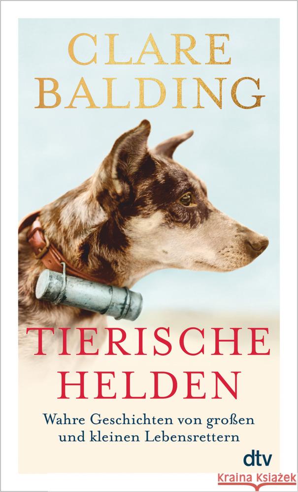 Tierische Helden Balding, Clare 9783423350457 DTV - książka
