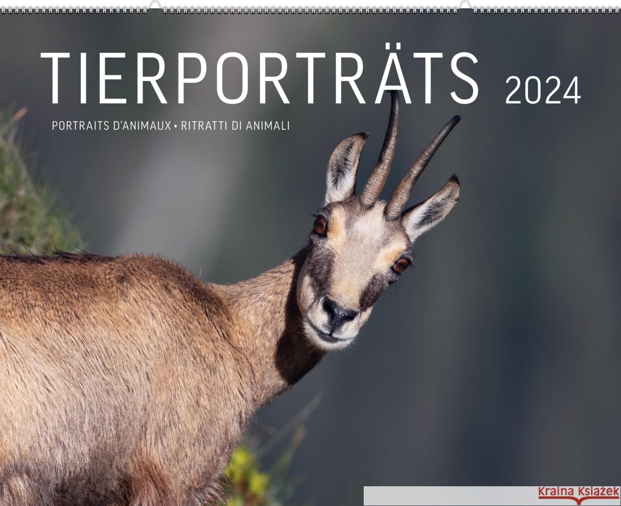 Tierporträts 2024 Schmid, Adrian 9783038184744 Weber Verlag Thun - książka