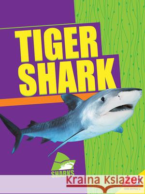 Tiger Shark Madeline Nixon 9781791121198 Av2 - książka