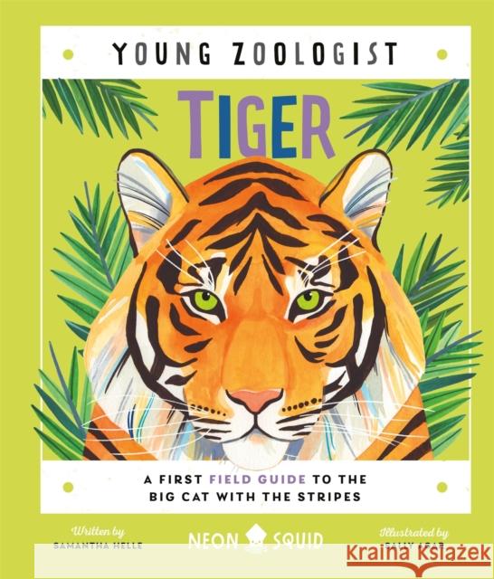 Tiger (Young Zoologist): A First Field Guide to the Big Cat with the Stripes Neon Squid 9781838993252 Priddy Books - książka
