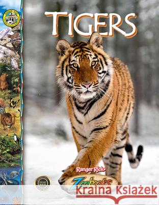 Tigers Timothy Levi Biel 9781644669310 Riveting Reads - książka