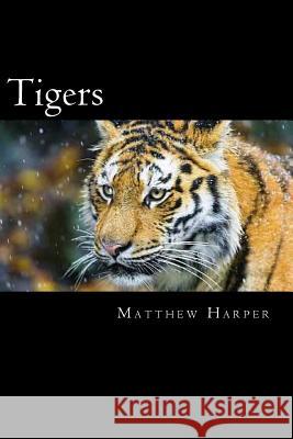 Tigers: A Fascinating Book Containing Tiger Facts, Trivia, Images & Memory Recall Quiz: Suitable for Adults & Children Matthew Harper 9781500183073 Createspace - książka