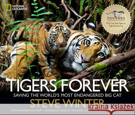 Tigers Forever: Saving the World's Most Endangered Big Cat Guynup, Sharon 9781426212406  - książka