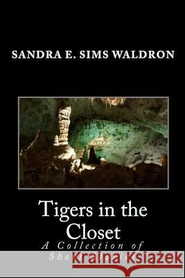 Tigers in the Closet: A Collection of Short Stories Sandra E. Sims Waldron 9781448652112 Createspace - książka