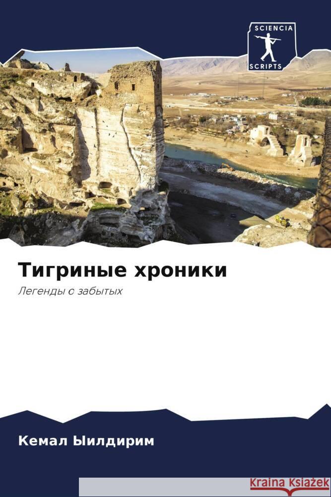 Tigrinye hroniki Yildirim, Kemal 9786208111410 Sciencia Scripts - książka
