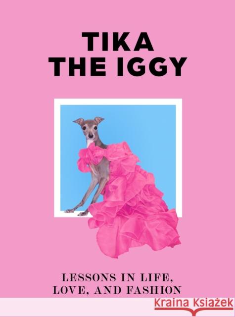 Tika the Iggy: Lessons in Life, Love, and Fashion Katherine Shapiro 9781399606929 Orion Publishing Co - książka
