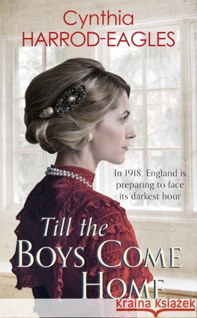 Till the Boys Come Home: War at Home, 1918 Cynthia Harrod-Eagles 9780751565614 Little, Brown Book Group - książka
