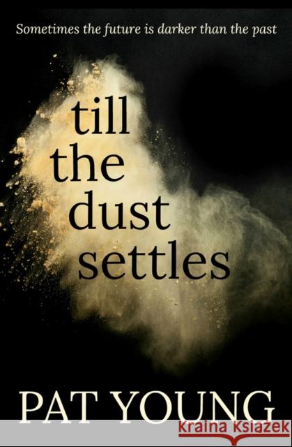 Till the Dust Settles Pat Young 9781912175468 Bloodhound Books - książka