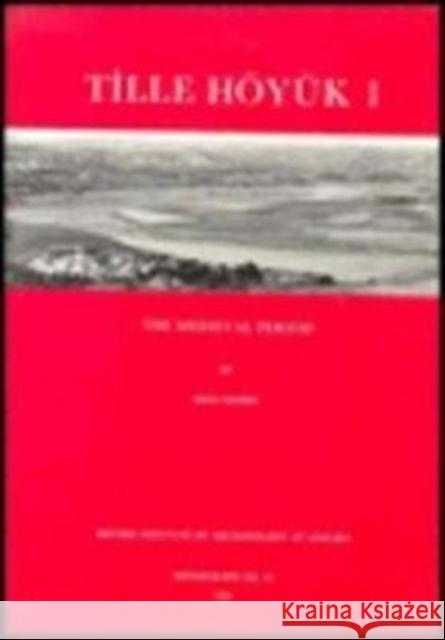 Tille Hoyuk 1: The Medieval Period Moore, John 9781898249009 British Institute of Archaeology at Ankara - książka