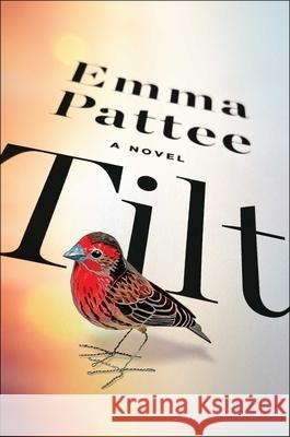 Tilt Emma Pattee 9781668055472 S&s/ Marysue Rucci Books - książka