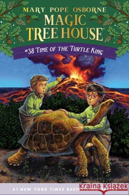 Time of the Turtle King Mary Pope Osborne Ag Ford 9780593488577 Random House Books for Young Readers - książka