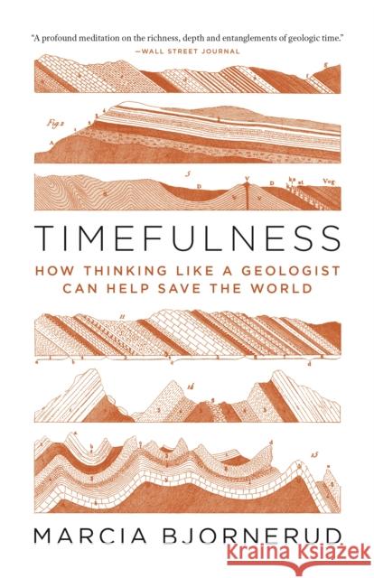 Timefulness: How Thinking Like a Geologist Can Help Save the World Marcia Bjornerud 9780691202631 Princeton University Press - książka