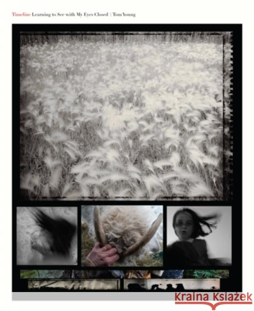 Timeline: Learning to See with My Eyes Closed Young, Tom 9781938086106 George F Thompson Publishing - książka