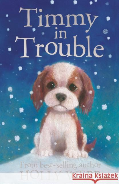 Timmy in Trouble Holly Webb 9781847150622 Little Tiger Press Group - książka