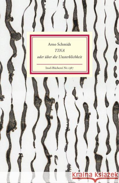 Tina oder über die Unsterblichkeit Schmidt, Arno 9783458193876 Insel Verlag - książka