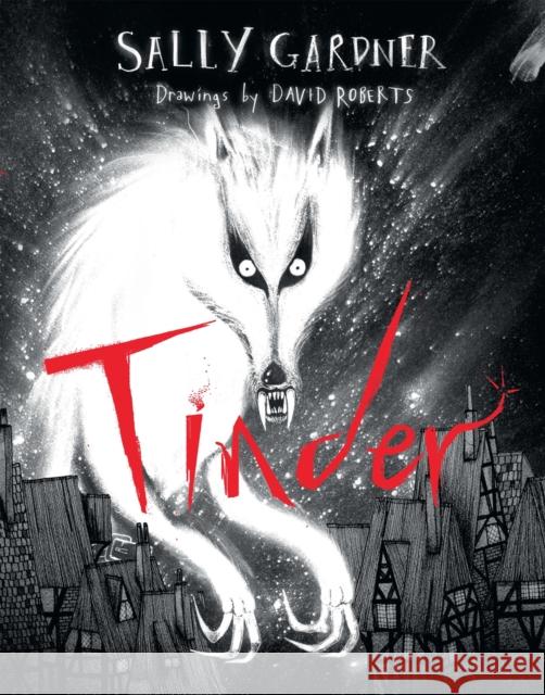 Tinder Gardner, Sally 9781444000559 Hachette Children's Group - książka