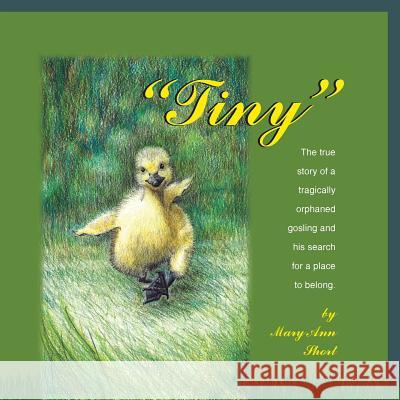 Tiny Mary Ann Short 9781496947260 Authorhouse - książka