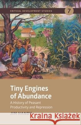 Tiny Engines of Abundance: A History of Peasant Productivity and Repression  9781773635217 Fernwood Publishing - książka