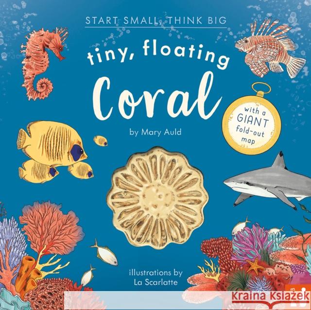 Tiny, Floating Coral: A fact-filled picture book about the life cycle of coral, with fold-out map of the world’s coral reefs (ages 4-8) Mary Auld 9781916780033 Mama Makes Books - książka