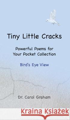 Tiny Little Cracks: Bird's Eye View Graham, Carol 9780986158810 Staghorn Ridge Publications - książka