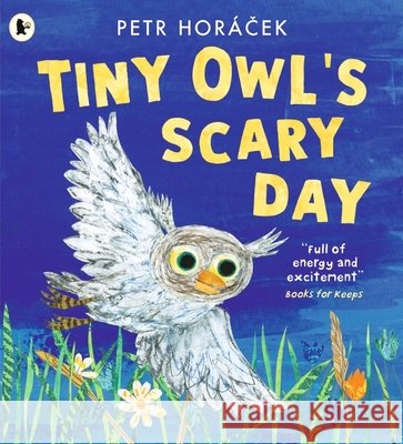 Tiny Owl's Scary Day Petr Horacek 9781529517194 Walker Books Ltd - książka