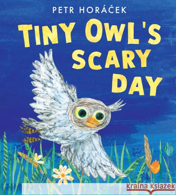 Tiny Owl's Scary Day Petr Horacek 9781529509274 Walker Books Ltd - książka