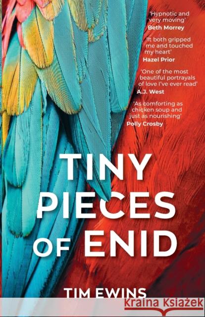 Tiny Pieces of Enid Tim Ewins 9781785633102 Eye Books - książka